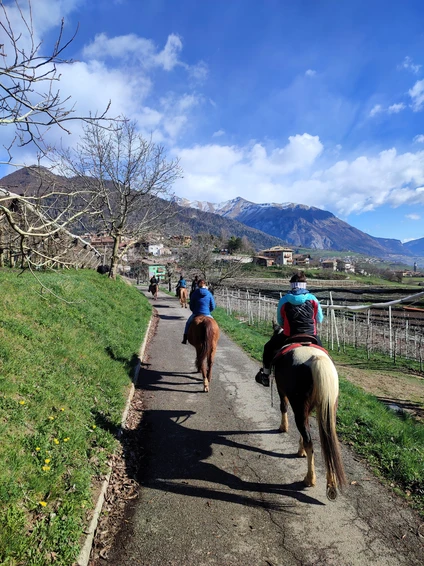 Passeggiata a cavallo con pranzo in rifugio 15 Passeggiata a cavallo con pranzo in rifugio 15